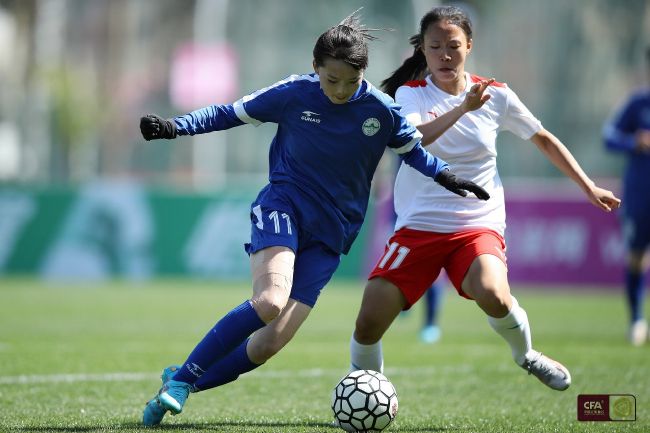 由于体弱多病的顺伊（朴宝英 Bo-yeong Park 饰）需要疗养的原因，顺伊母女三人从首尔搬场到了乡间的一栋别墅糊口。而整理房子的时辰顺伊不测的在仓库发现了神秘的前户主朴博士在这里遗留下了的狼孩（宋仲基 Joong-ki Song 饰）。顺伊妈妈出于善心收容了这个狼性未泯的男孩，并给他起名叫哲秀，就如许四小我起头了同住一个屋檐下的糊口。顺伊开初反感这个不会措辞，吃饭风卷残云的闯进者，但是旦夕相处让顺伊萌发了赐顾帮衬练习哲秀的动机。她起头教给他吃饭，念书，认字，还弹奏吉他给狼孩听，而哲秀对顺伊暖和的关切